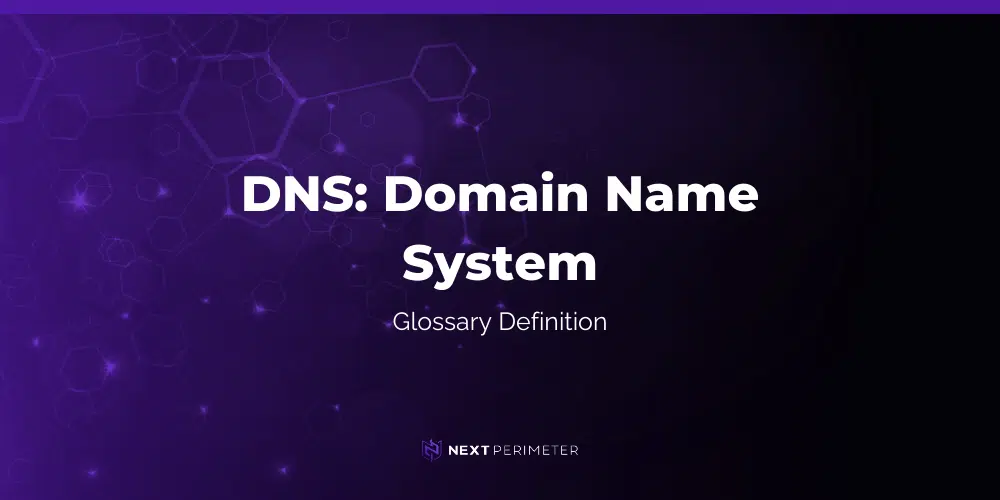 dns domain name system glossary definition graphic with next perimeter logo